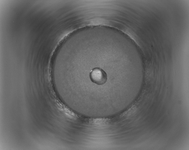 X0000062630832200512281553