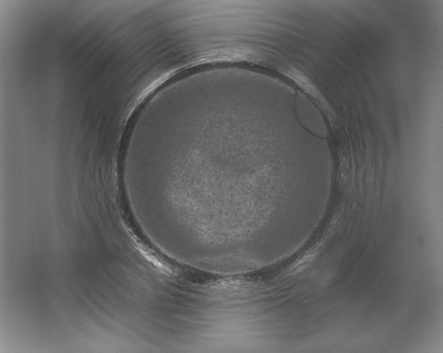 X0000062630834200512281553