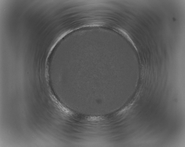 X0000062630835200512281553