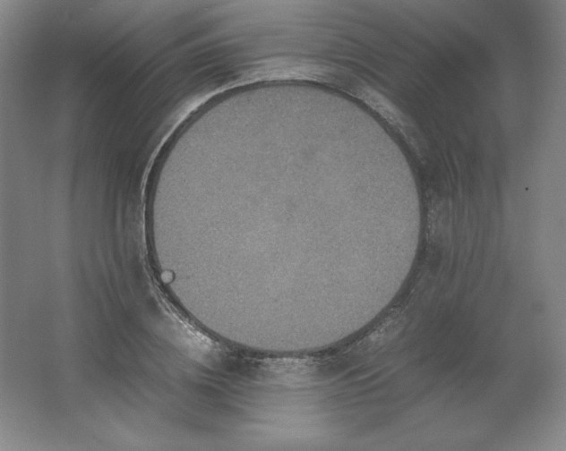 X0000062630836200512281553