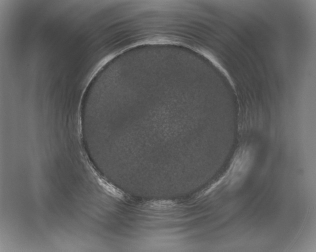 X0000062630837200512281553