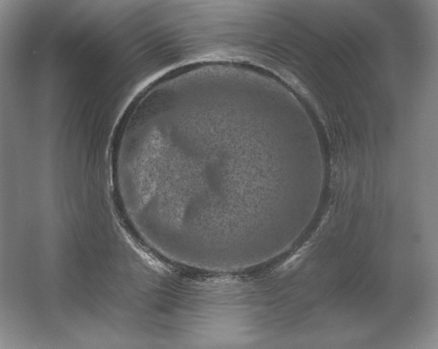 X0000062630838200512281553