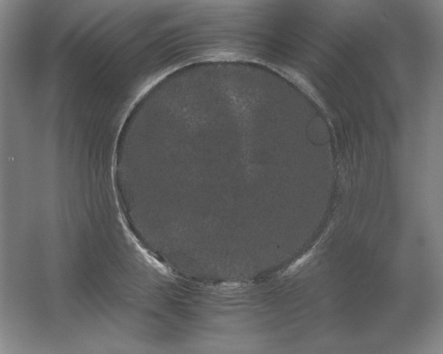 X0000062630839200512281553