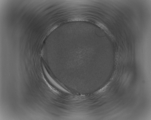 X0000062630841200512281553