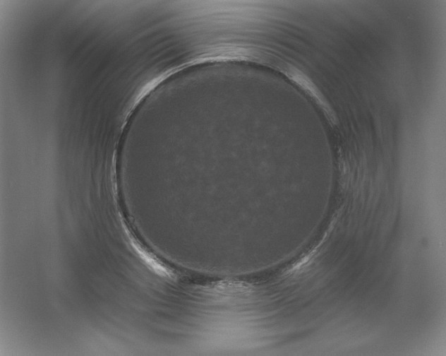 X0000062630842200512281553