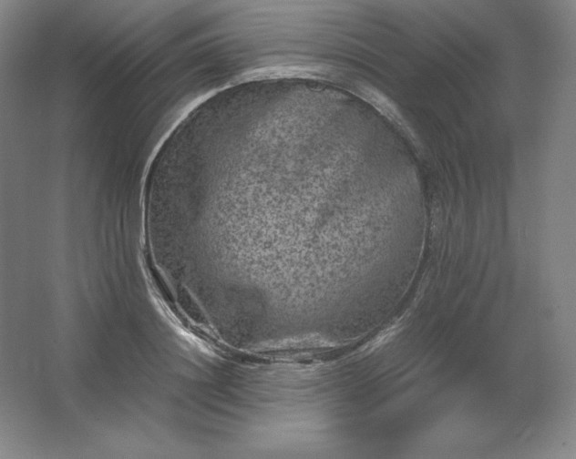 X0000062630844200512281553