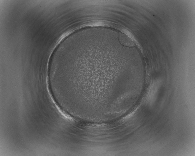 X0000062630845200512281553