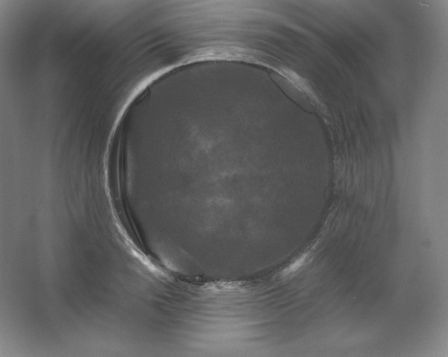 X0000062630846200512281553