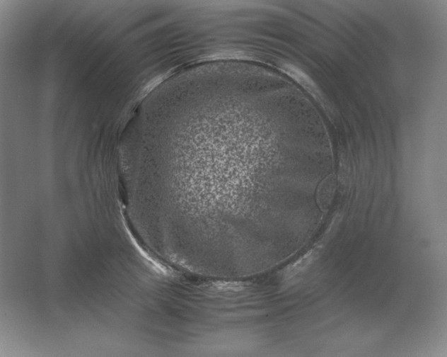 X0000062630849200512281553