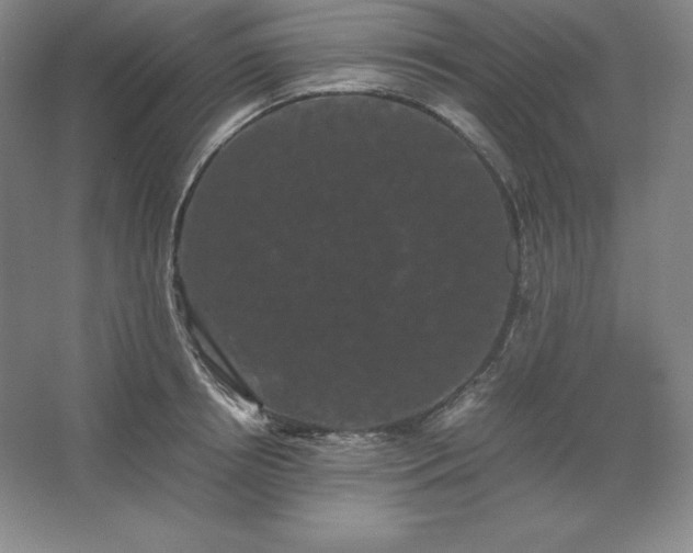 X0000062630850200512281553