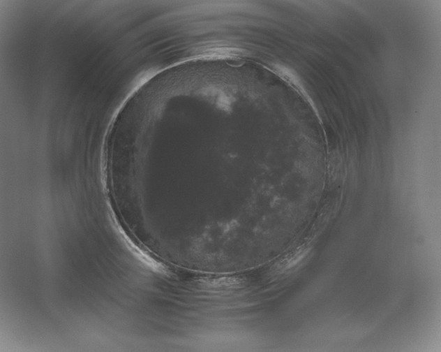 X0000062630851200512281553