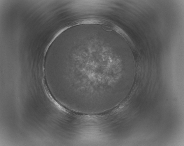 X0000062630852200512281553