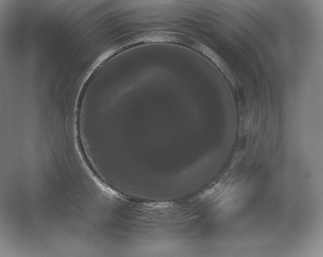 X0000062630853200512281553