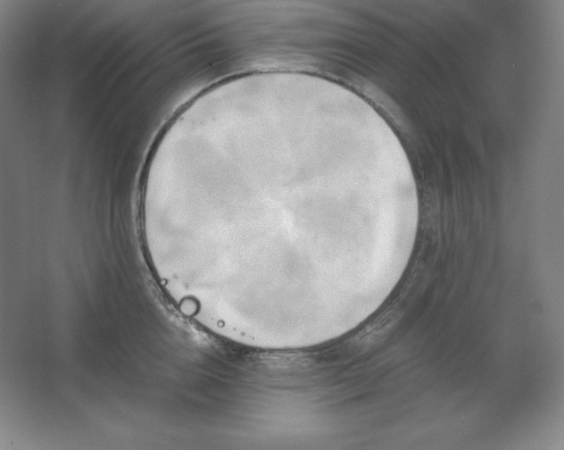 X0000062630856200512281553