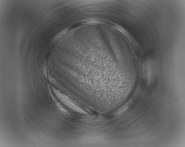 X0000062630857200512281553