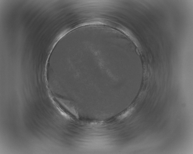 X0000062630858200512281553