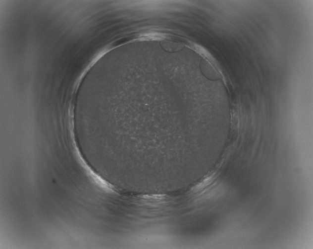 X0000062630859200512281553