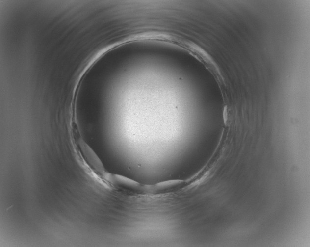 X0000062630860200512281553