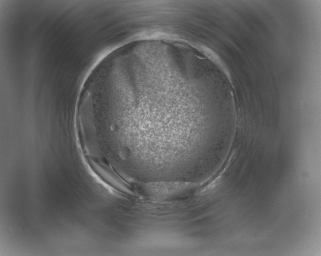 X0000062630863200512281553