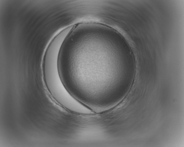 X0000062630864200512281553