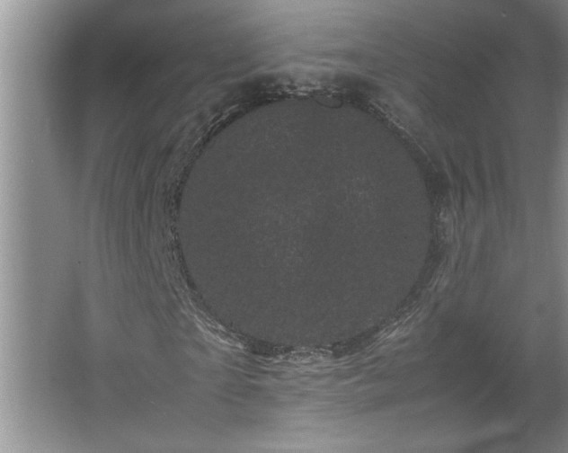 X0000062630865200512281553