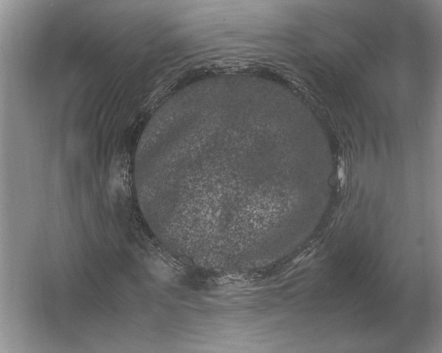 X0000062630867200512281553