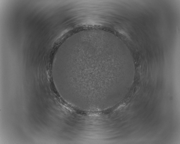 X0000062630870200512281553