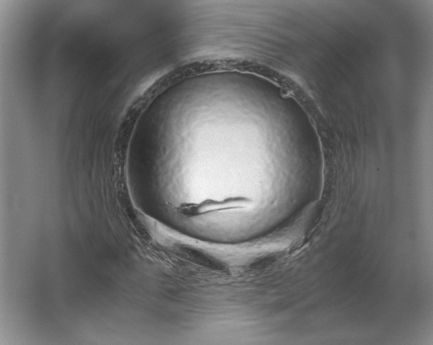 X0000062630871200512281553