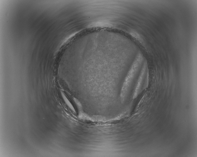 X0000062630872200512281553