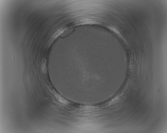 X0000062630873200512281553