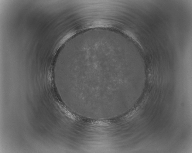 X0000062630874200512281553