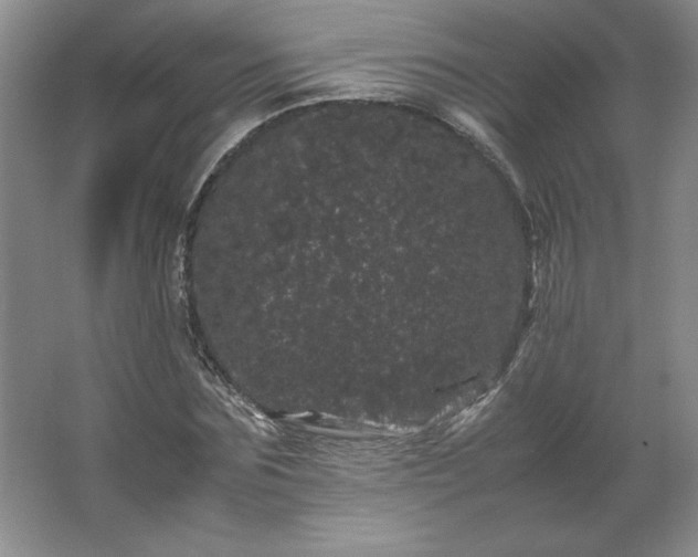 X0000062630875200512281552