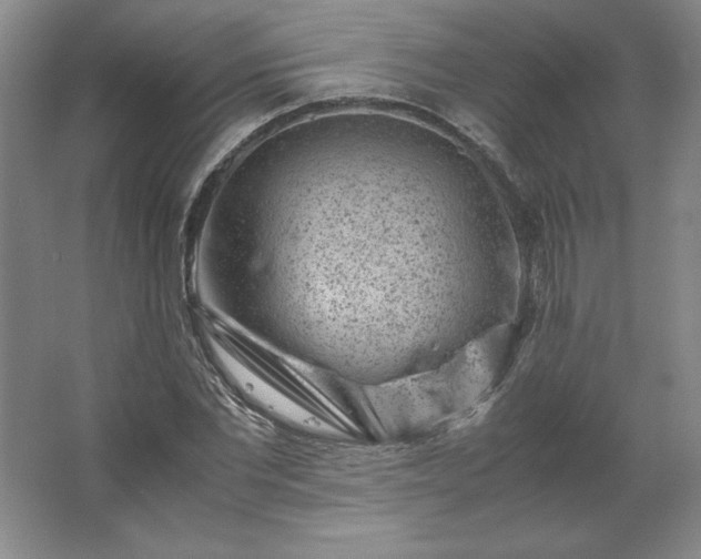 X0000062630877200512281552