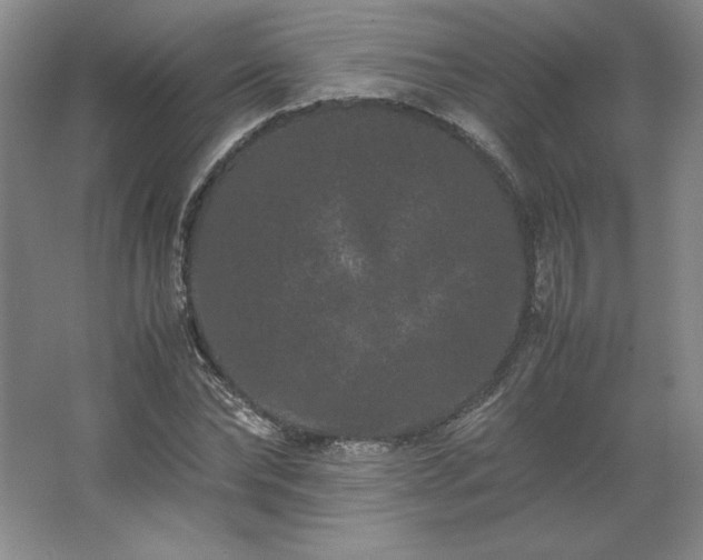 X0000062630878200512281552