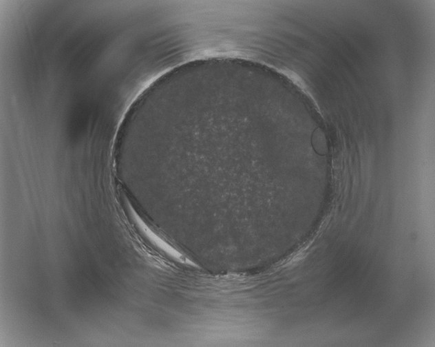 X0000062630879200512281552