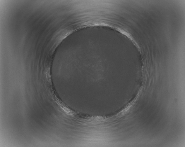 X0000062630881200512281552