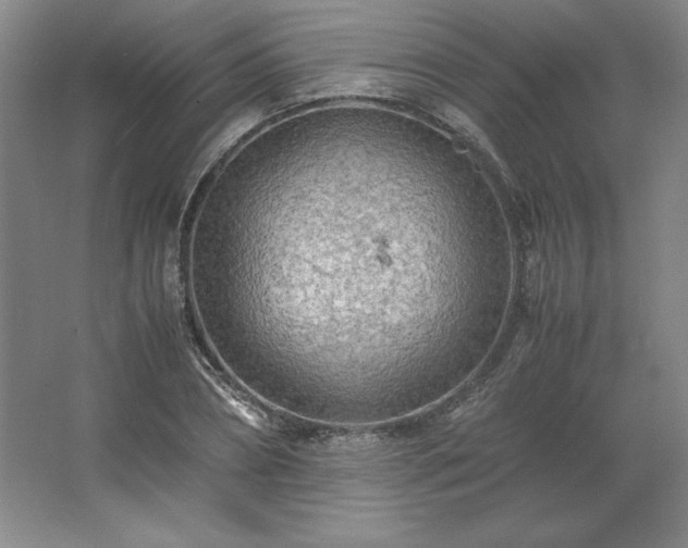 X0000062630882200512281552