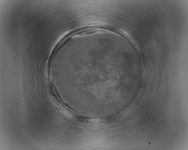 X0000062630883200512281552