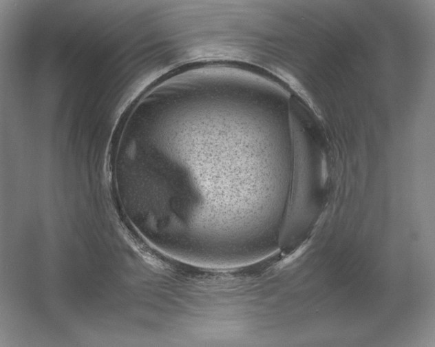 X0000062630885200512281552