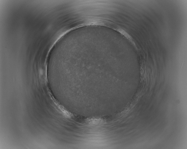 X0000062630886200512281552