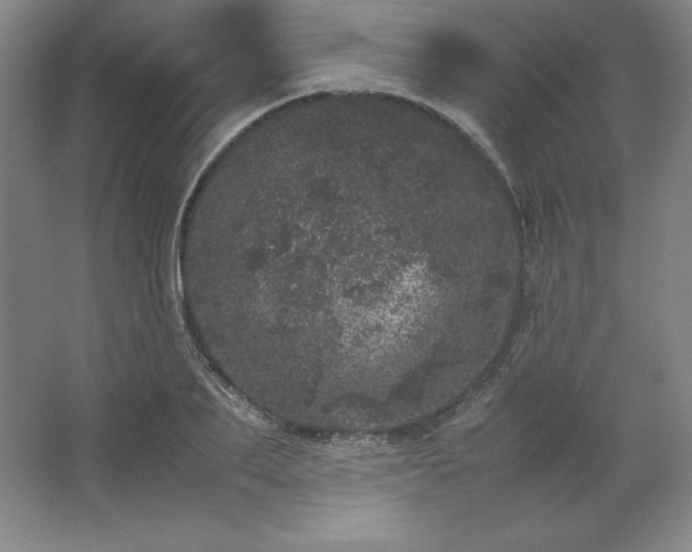 X0000062630887200512281552