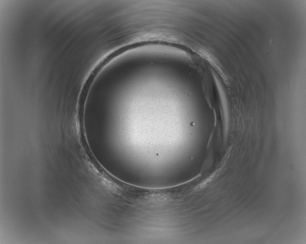 X0000062630888200512281552