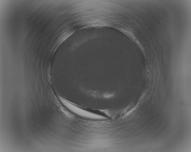 X0000062630889200512281552