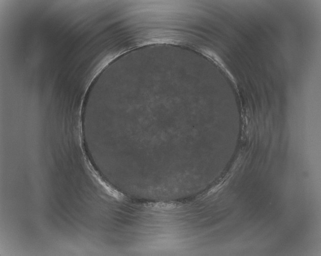 X0000062630890200512281552