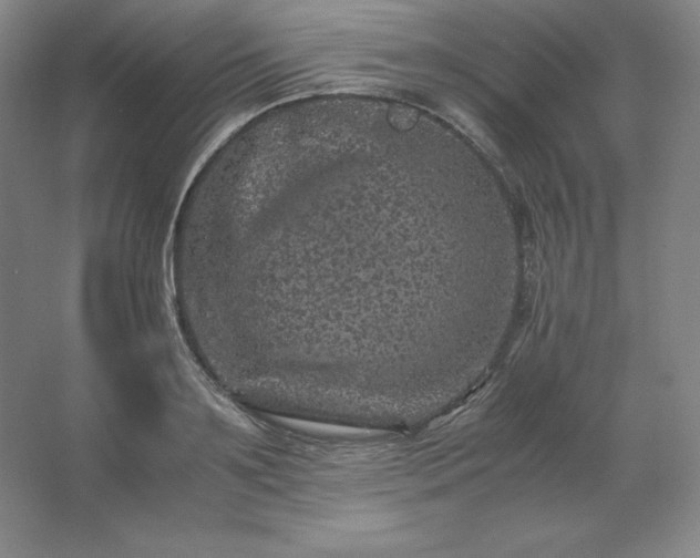 X0000062630891200512281552