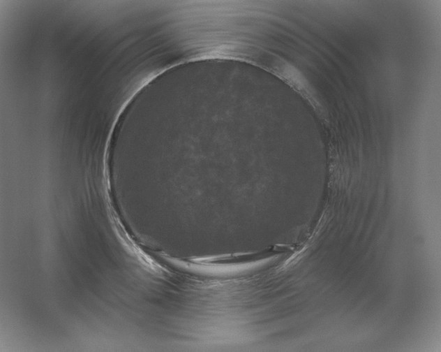 X0000062630892200512281552