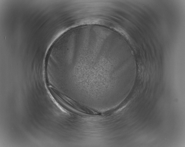 X0000062630894200512281552