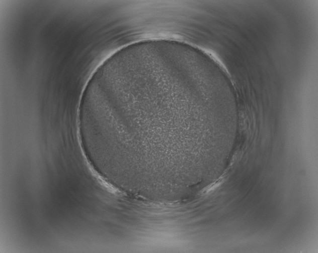 X0000062630895200512281552