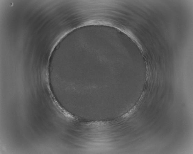 X0000062630896200512281552