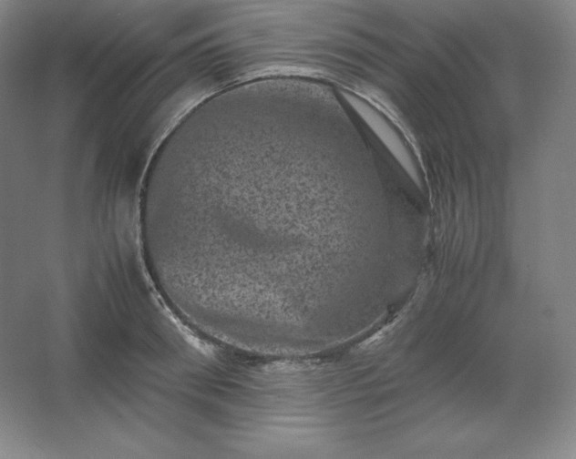 X0000062630898200512281552